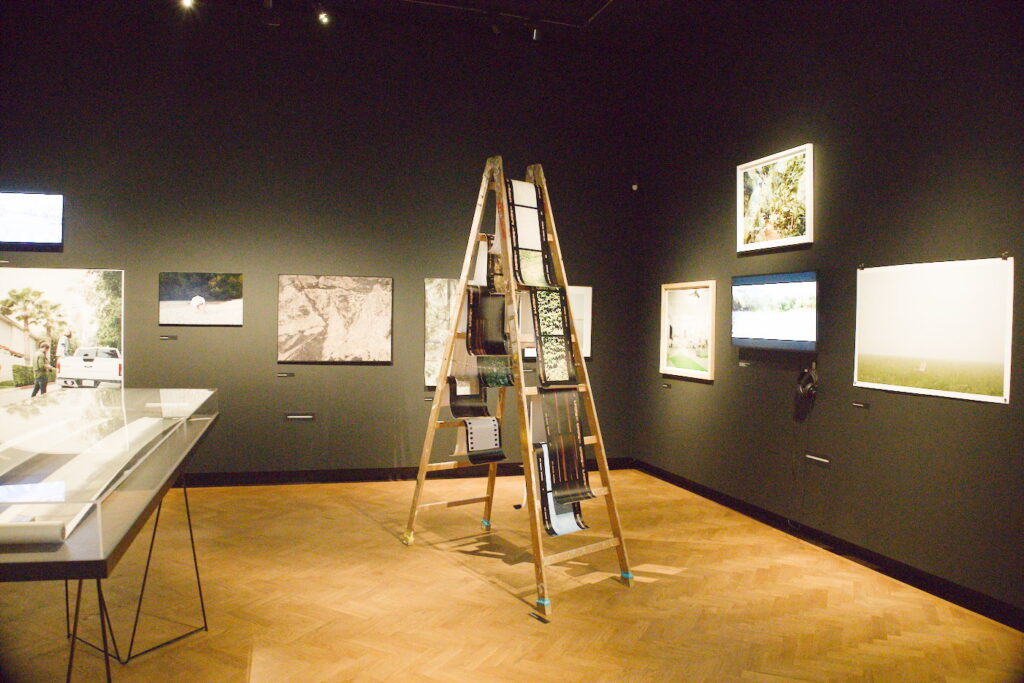 Eine Leiter als "Staffelei" in der Ausstellung "What a view" - Präsentation abseits ausgetretener Pfade